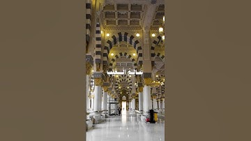 هو الله #استمع للقران الكريم 20 ثانيه فقط  #لايك ومتابعة #