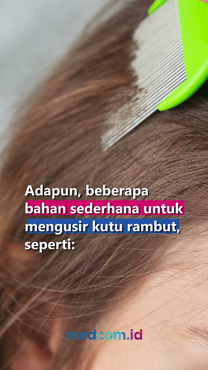 3 CARA MENGHILANGKAN KUTU RAMBUT YANG MUDAH DILAKUKAN