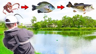 Fishing w/ GIANT Livebait! (HUGE Fish)