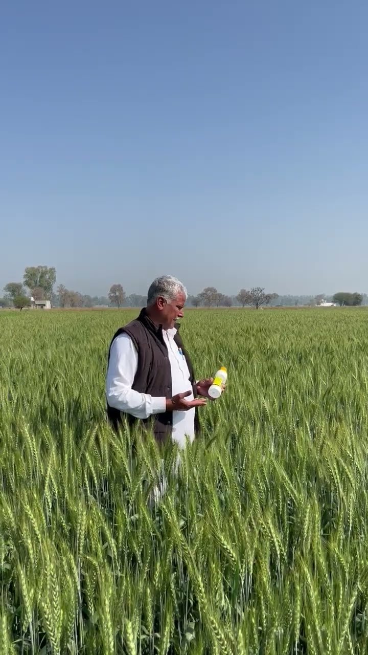 फतेहाबाद के किसान यशपाल सिंह के खेतों में कैसे आई बहार | वनइंडिया हिंदी