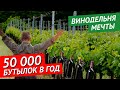 50 000 бутылок в год | винодельня в Крыму | Фермерское дело