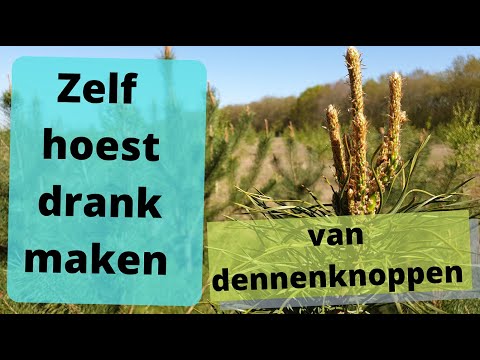 Video: Hoe Dropsiroop Aan Een Kind Te Geven?