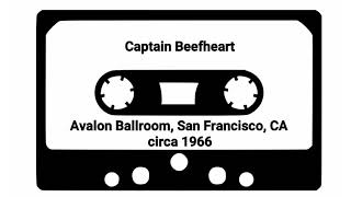 Captain Beefheart - San Francisco 1966