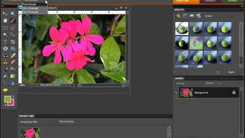Photoshop Elements 9.0 Tutorial Selecting Colors with the Eyedropper Tool Adobe Training Lesson 5.6