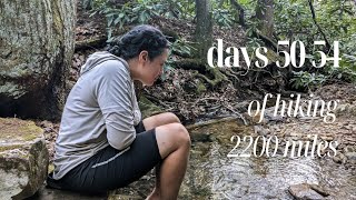 spring is coming! + first bear encounter | days 5054 of thru hiking the Appalachian Trail