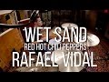Wet Sand - Red Hot Chili Peppers - Drum Cover - Rafael Vidal