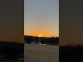 Birds dance in the Sunset #sunset #birds #birdsdance #birdsounds