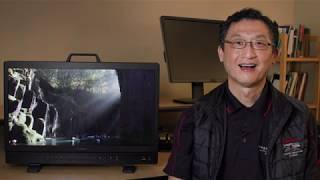 Canon Tech Tip: Canon Reference Display features