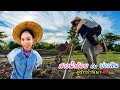 Sao Nam Oi Goes To The Rice Field Fixing The Embankment May 24 2026 