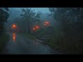 Night Rain in the Forest: Helps You Fall Asleep Quickly and Peacefully, with the Sound of Real Rain