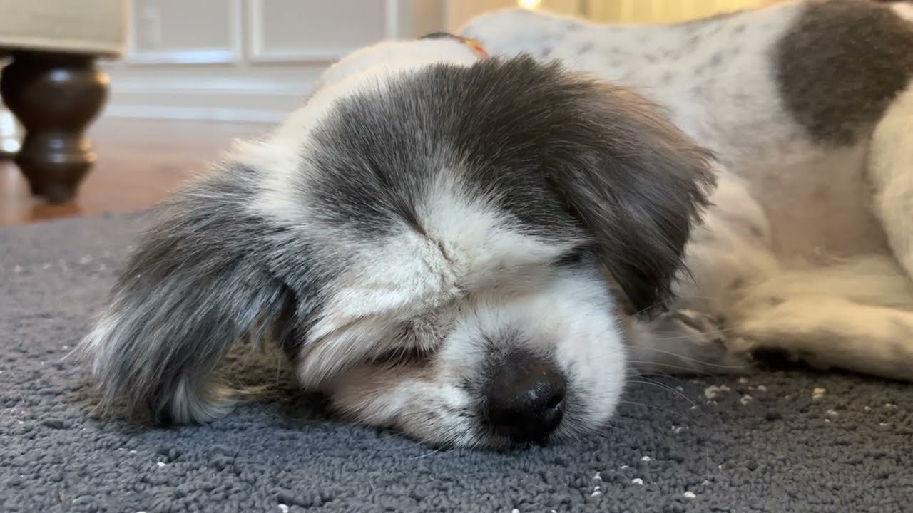 Sampler September plans!!