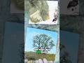 Unlock The SECRET to Painting Realistic Acrylic Tree in Just 5 Minutes