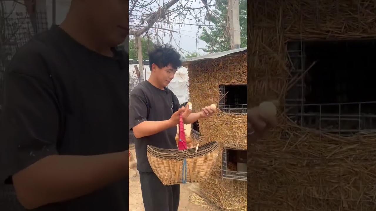 农村就是这样，有苦有甜，有欢乐也有疲累，每天开心做好每一件事就行#我的乡村生活 #抖音新农人 #我的农村生活