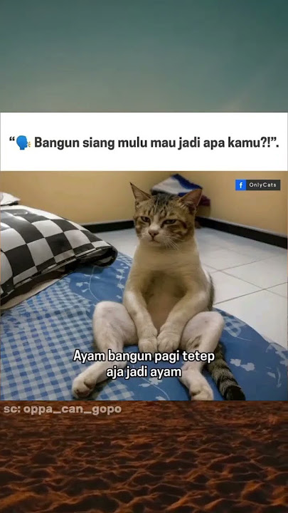 bisa ae ngeles nya 😂 #shorts #komedi #meme #warga 62 #wargasosmed