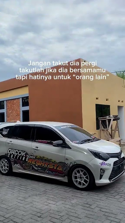 pura pura polos aja
