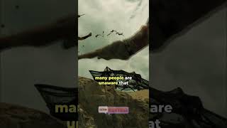 Did you know that Dwayne Johnson