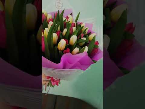 КУПИТЬ ТЮЛЬПАНЫ И