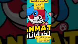 اسباب موت القطط حديثة الولادة#shortsvideo #shorts