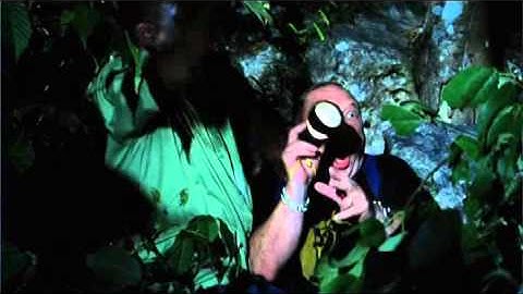 Operation Pandora Part 2.divx