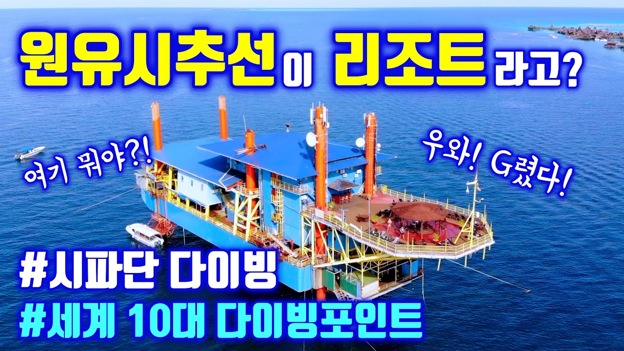 세계 10대 스킨스쿠버 다이빙 포인트 시파단 in 말레이시아ㅣ코타키나발루 여행ㅣ원유시추선 리조트ㅣ씨벤쳐스ㅣ거북이 무덤ㅣ동굴다이빙ㅣ 범프헤드피쉬ㅣ여행유튜버