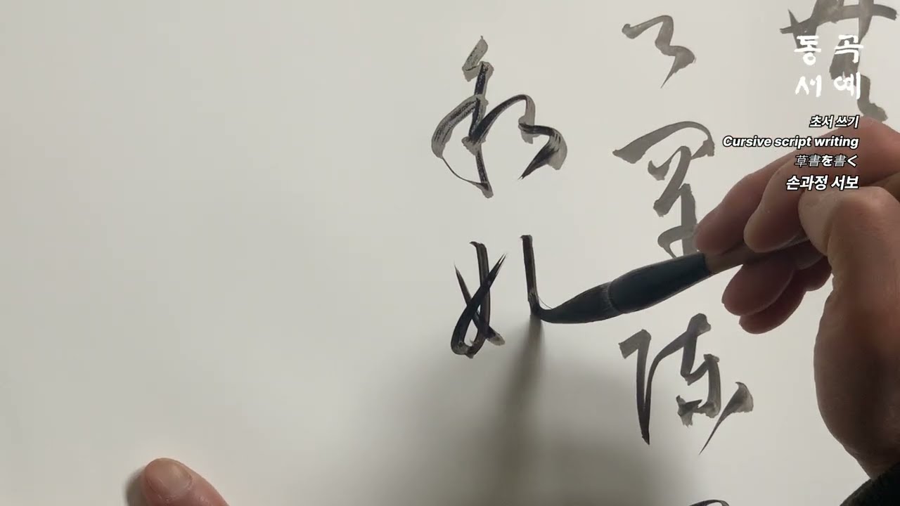 초서 쓰기 16 Cursive script writing 草書を書く손과정 서보