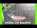 Olha que incrível a hora do banho dos pássaros