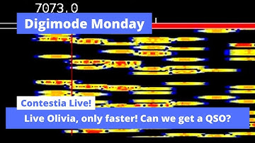 Contestia Live! - Digimode Monday