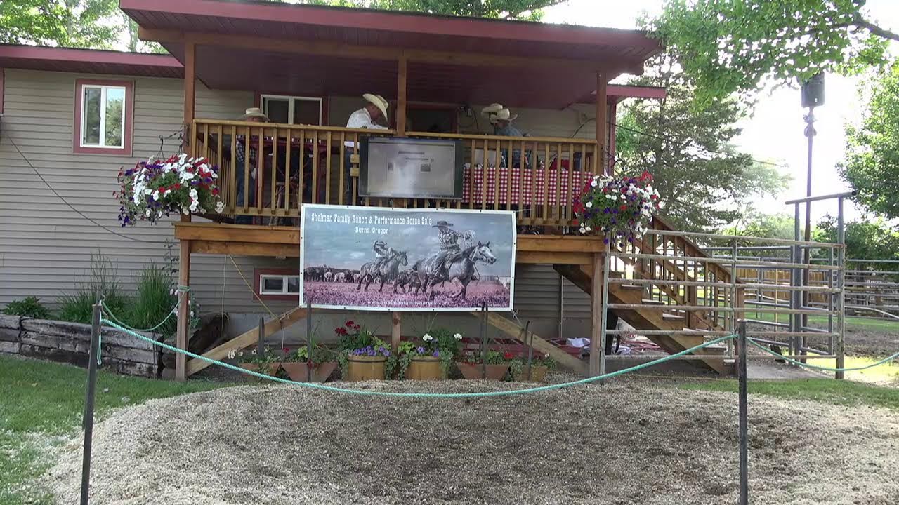 2025 Shelman Family Ranch & Performance Horse Sale Auction