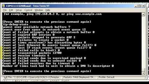 FreeRTOS+UDP Echo Client Example