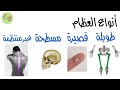 الهيكل العظمي الصف الرابع علوم كامبريدج 