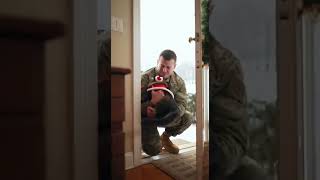 Cat in Christmas Outfit Runs Screaming to Me Hilarious Holiday Chaos #Cats #Christmas #Funny