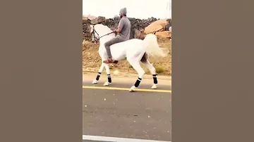 صوت حافر الخيل 