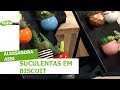 Suculentas em biscuit - Alessandra Assi - 16/04/2018