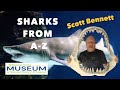Sharks From A-Z with Scott Bennett
