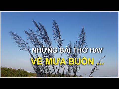 Thơ Buồn Về Mưa 2 Câu - Những bài thơ hay về Mưa Buồn.