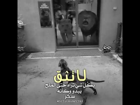 اجمل نغمه رنين هاتف يبحث عنها الجميع اغاني عراقيه حزينه جدا موسيقه حزينه بدون حقوق