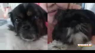 We Kids Of America Xd Wombo Time