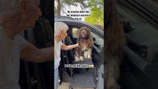 They were so proud of themselves 🥹🤍😭❤️