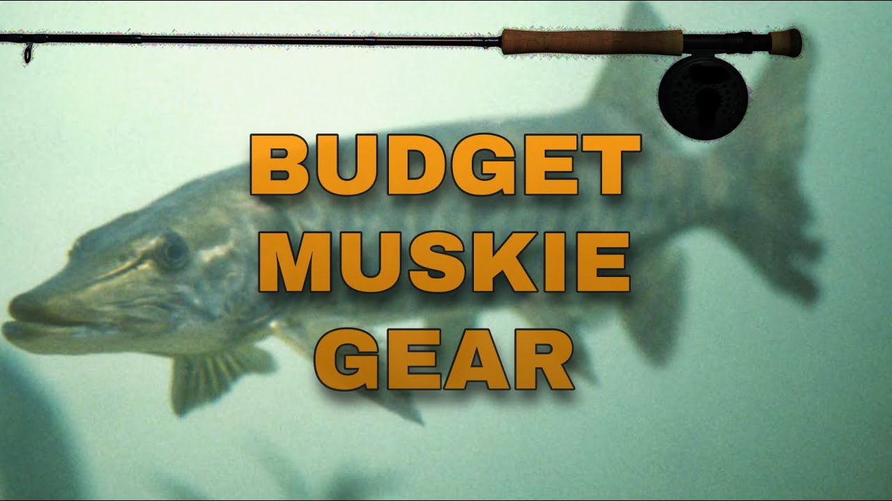 SUPER Cheap Muskie Fly Fishing Set Up & Rig