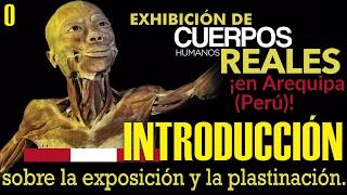 Exposición de CUERPOS HUMANOS REALES. Introducción: la plastinación