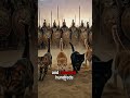 The Genius Trap Persians Set Using Cats