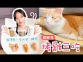 第一次做貓鮮食！烤雞三吃～貓薄荷、貓酵素、茨木草Uni的選擇是？｜傲嬌爸的養貓日常