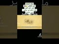 ملوك حمير مملكة معين ملوك حمير مملكة معين