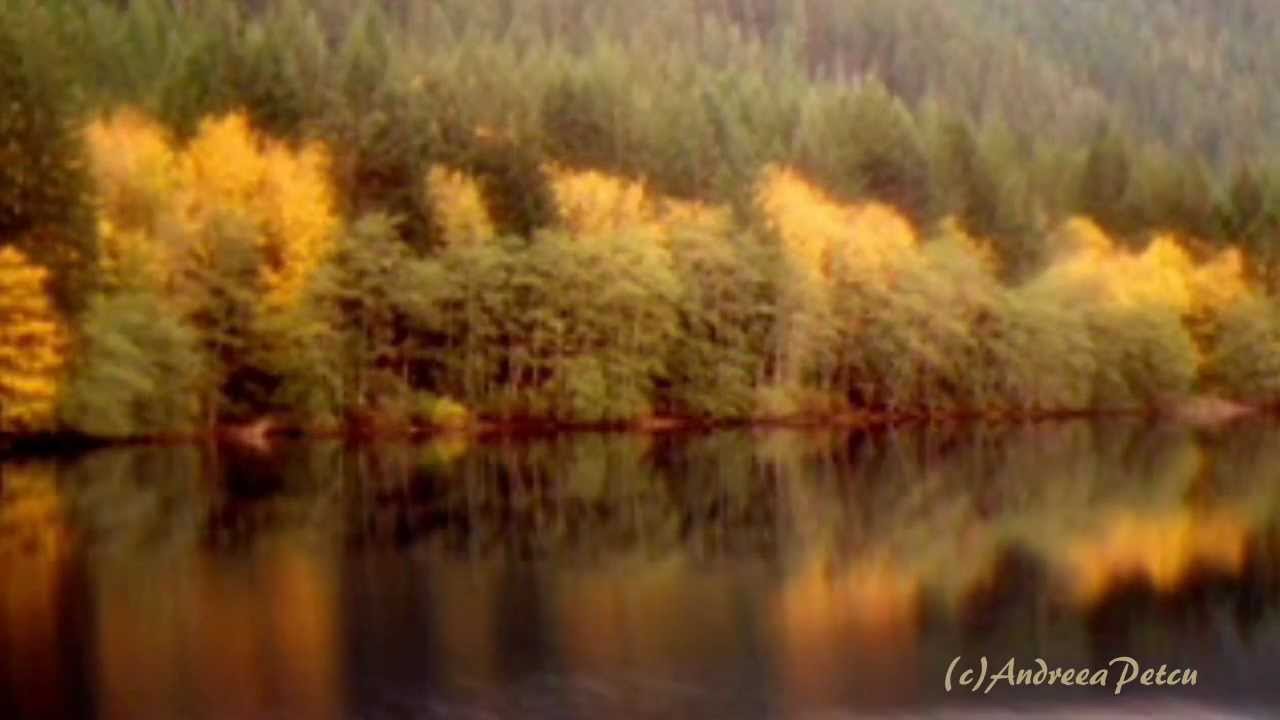 BERNWARD KOCH - Wonderful Glider - YouTube