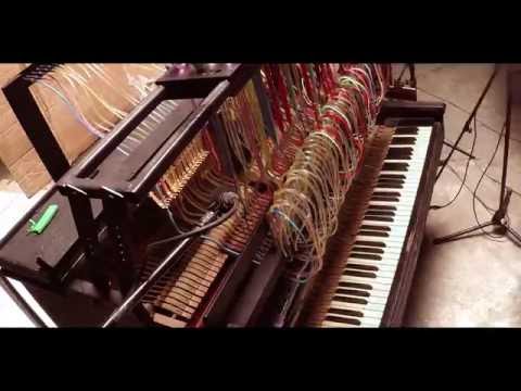 „ვისმინო“ - ღვინო, შექმნილი ბგერის ჰარმონიით.