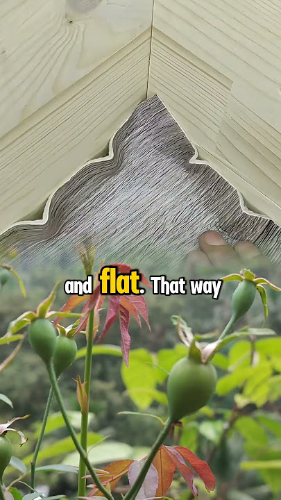 This Floor Mat Corner Trick Will Blow Your Mind!