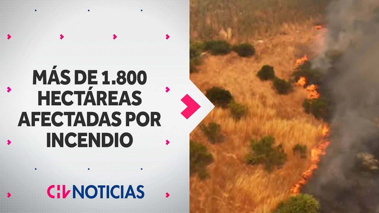 Incendio forestal en San Pedro ha afectado 1.870 hectáreas: 5 damnificados y 3 viviendas consumidas