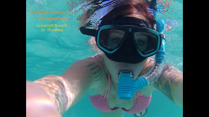 LRM Adventures- Linquist Beach St. Thomas