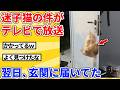 【2ch動物スレ】猫が迷子になったことがテレビで流れた翌日、玄関に届いてたｗｗｗｗｗ