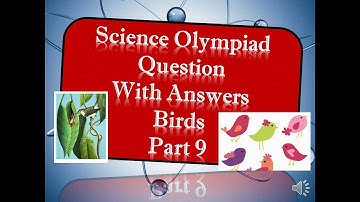 2023 "National Science Olympiad" Questions with Answers for class 3 NSO
